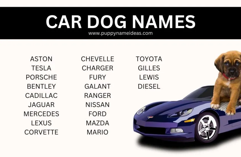 dog names related to car parts