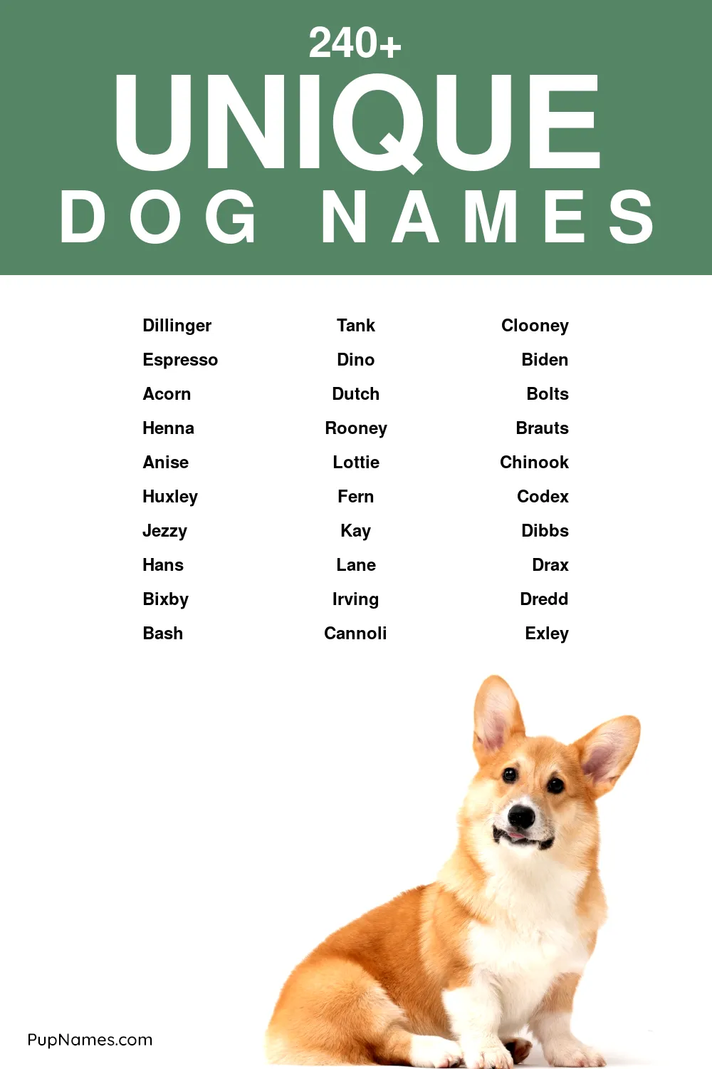 dog names that are not people names