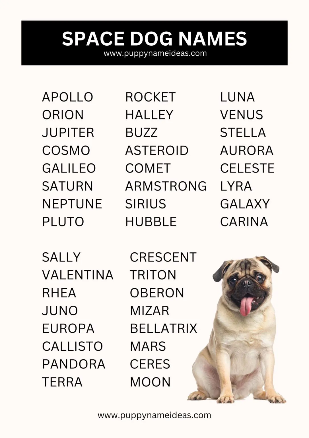 dog names that go with apollo