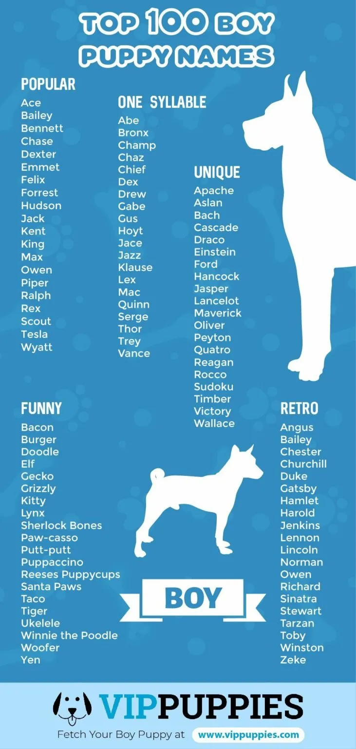 dog names that go with bailey