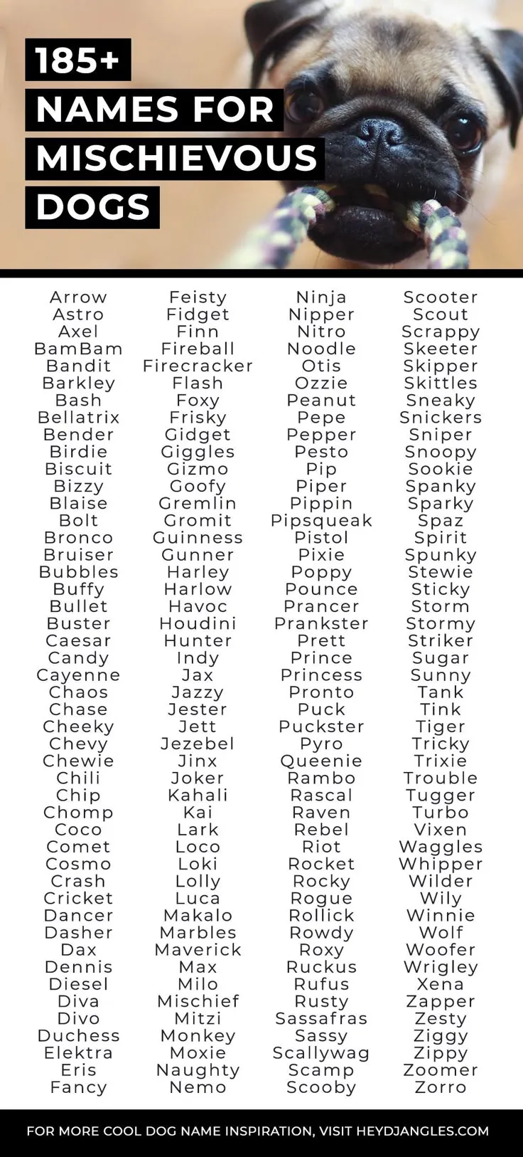 dog names that go with bandit