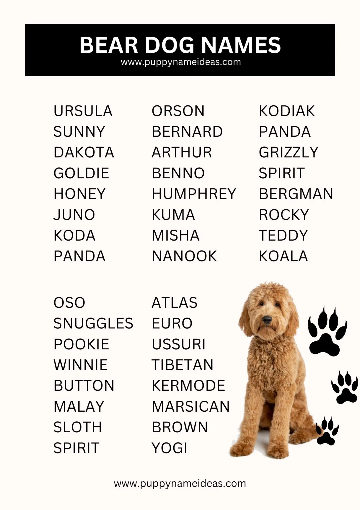 dog names that go with bear