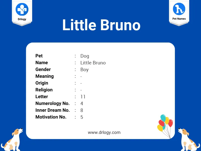 dog names that go with bruno