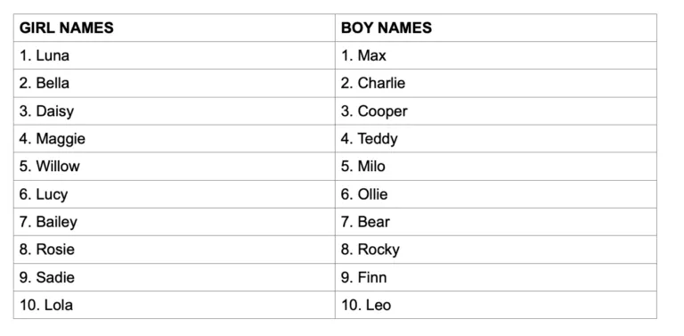 dog names that go with charlie