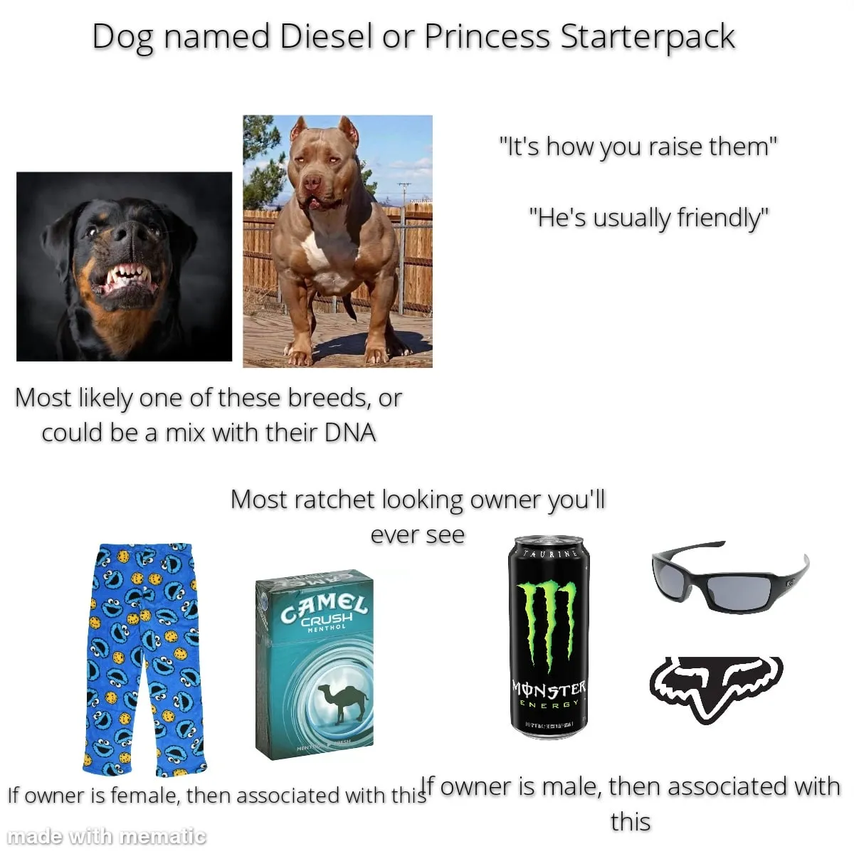 dog names that go with diesel