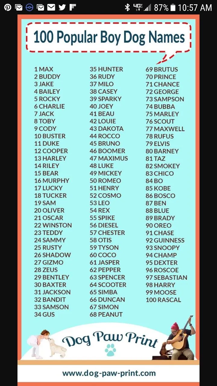 dog names that go with dixie