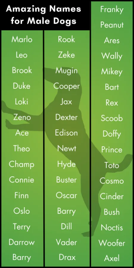 dog names that go with duke