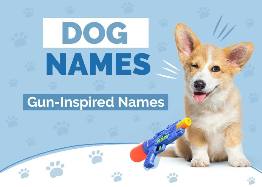 dog names that go with gunner