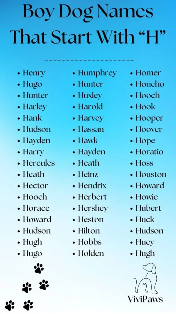dog names that go with hank