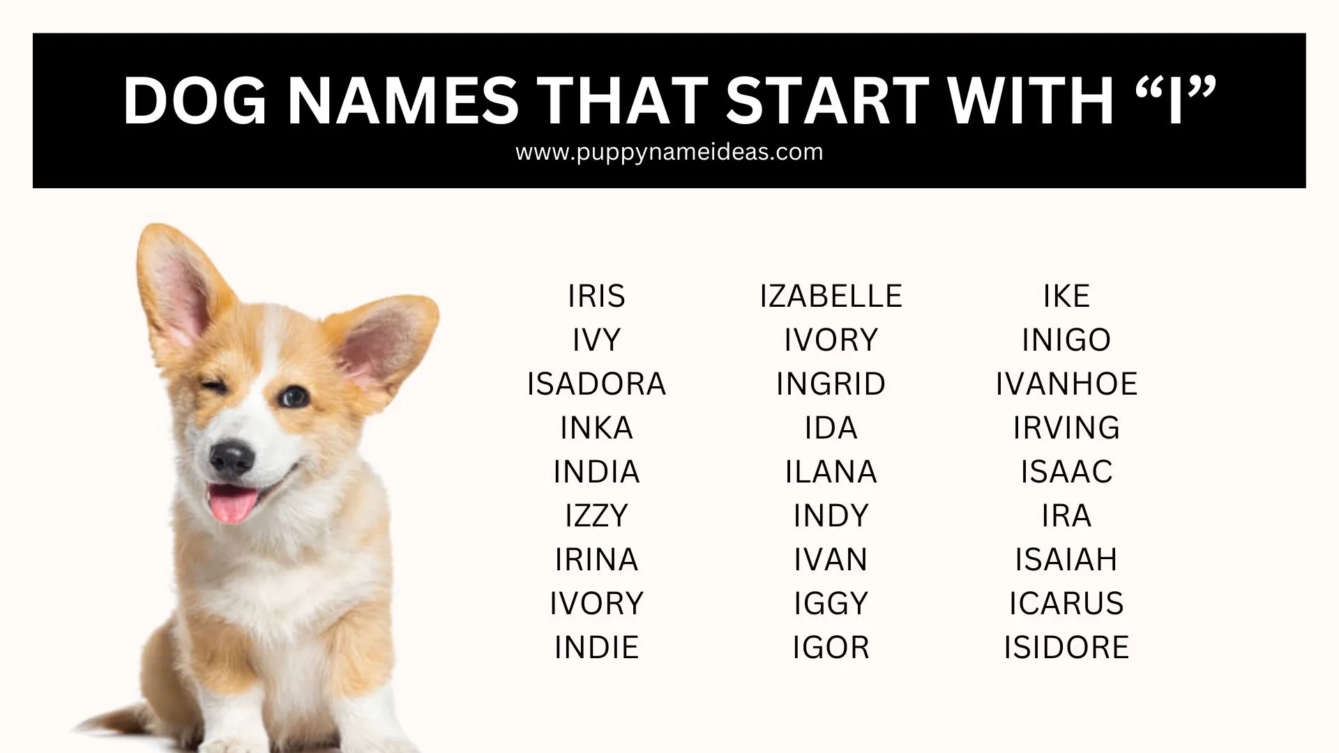 dog names that go with izzy