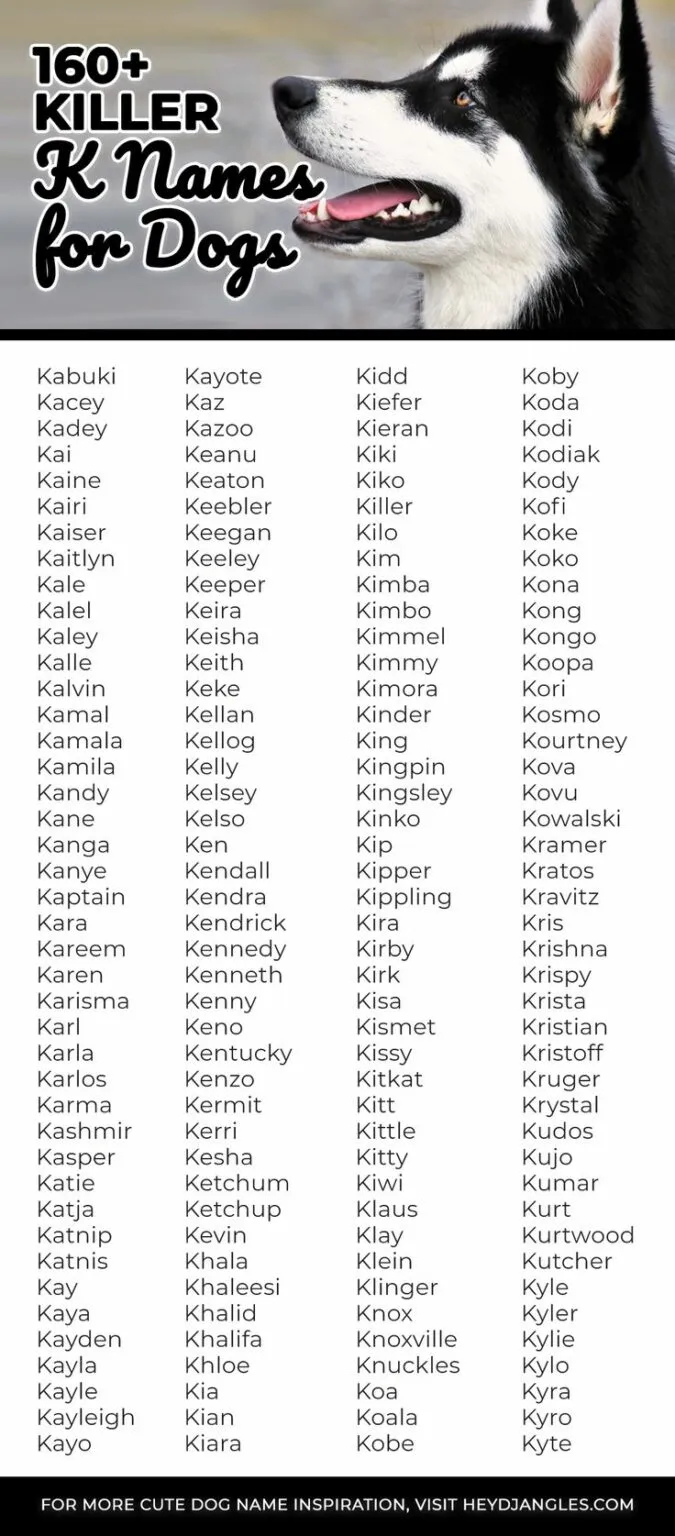 dog names that go with koda