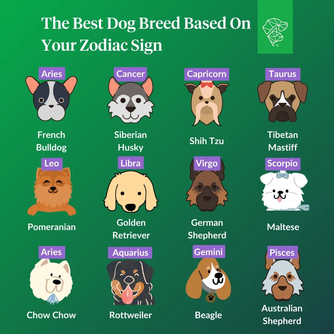dog names that go with leo