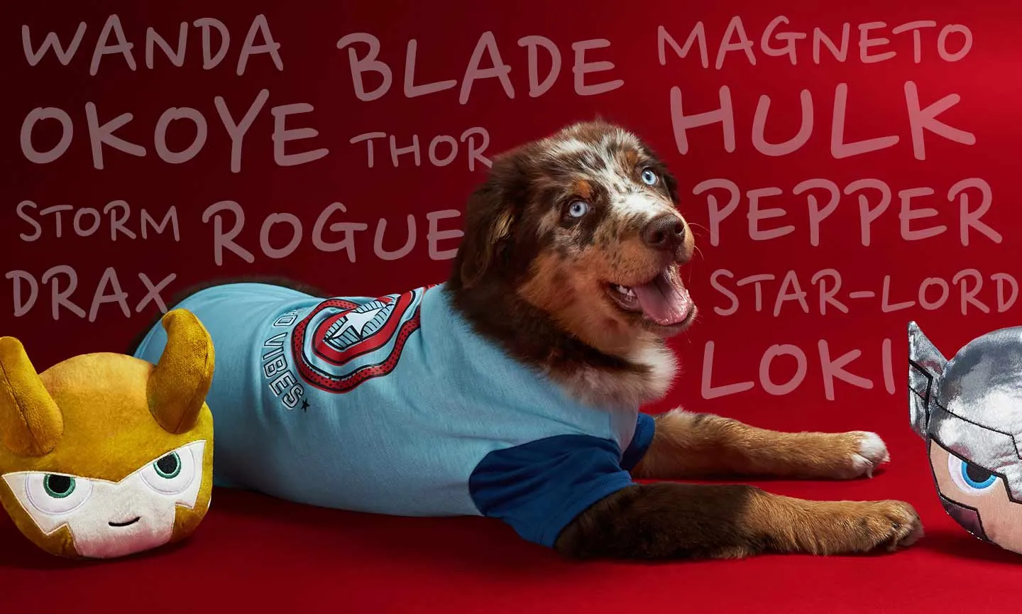 dog names that go with loki