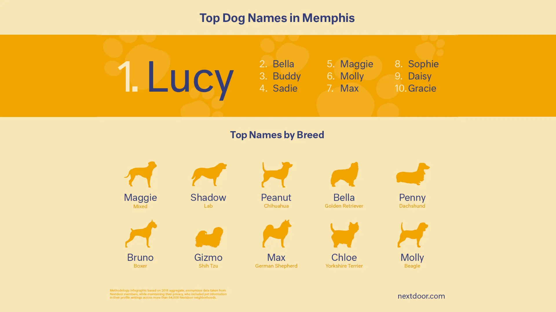 dog names that go with lucy