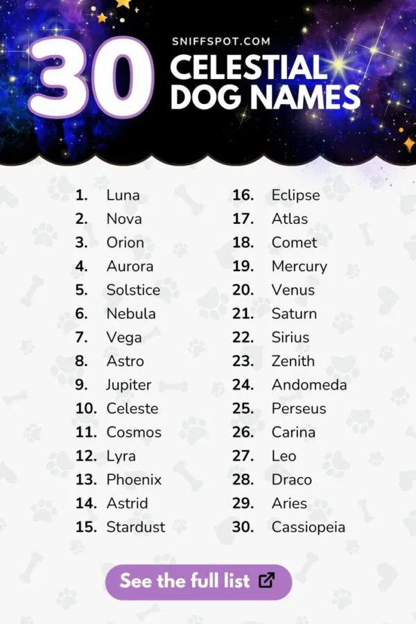 dog names that go with luna