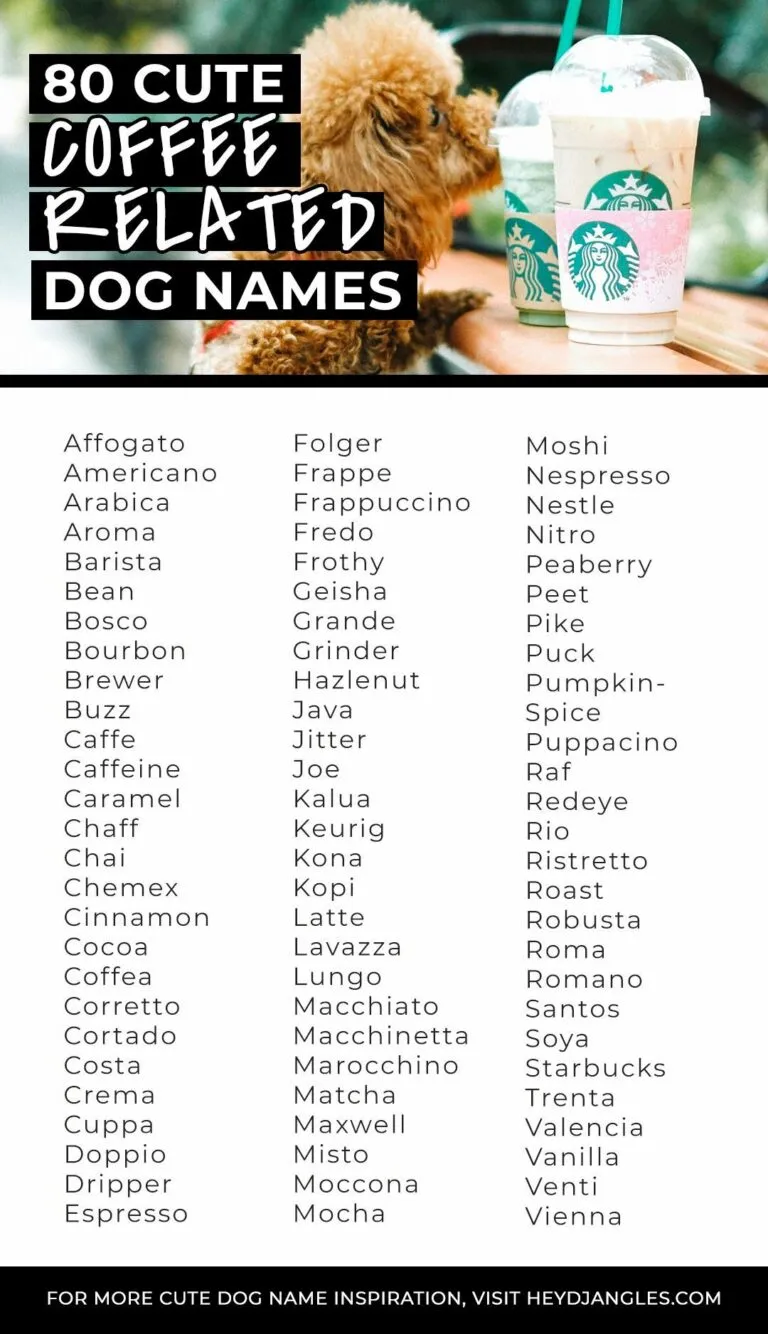 dog names that go with mocha