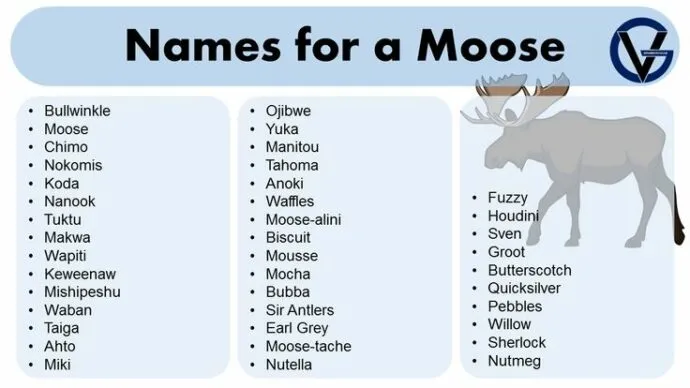 dog names that go with moose