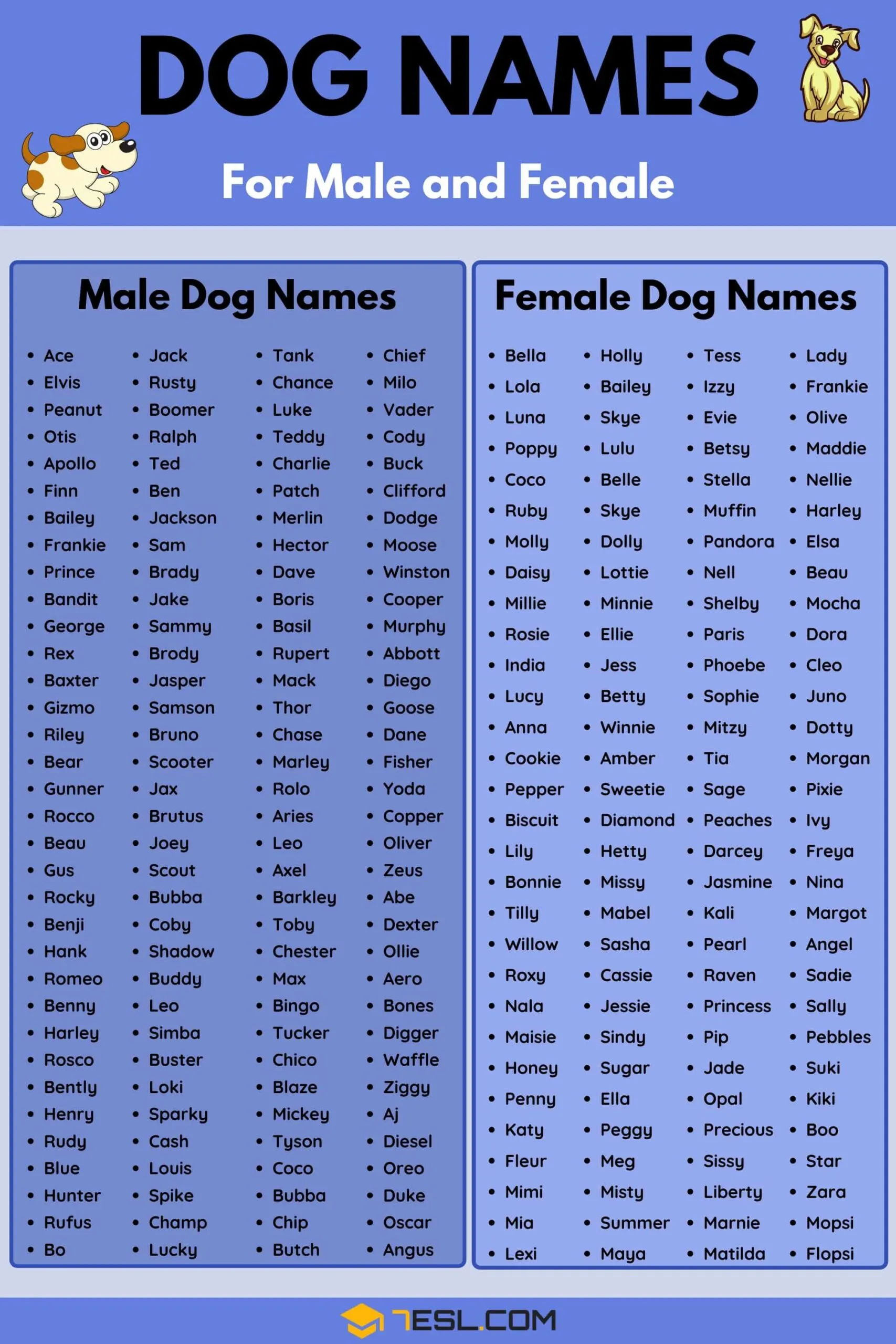 dog names that go with murphy