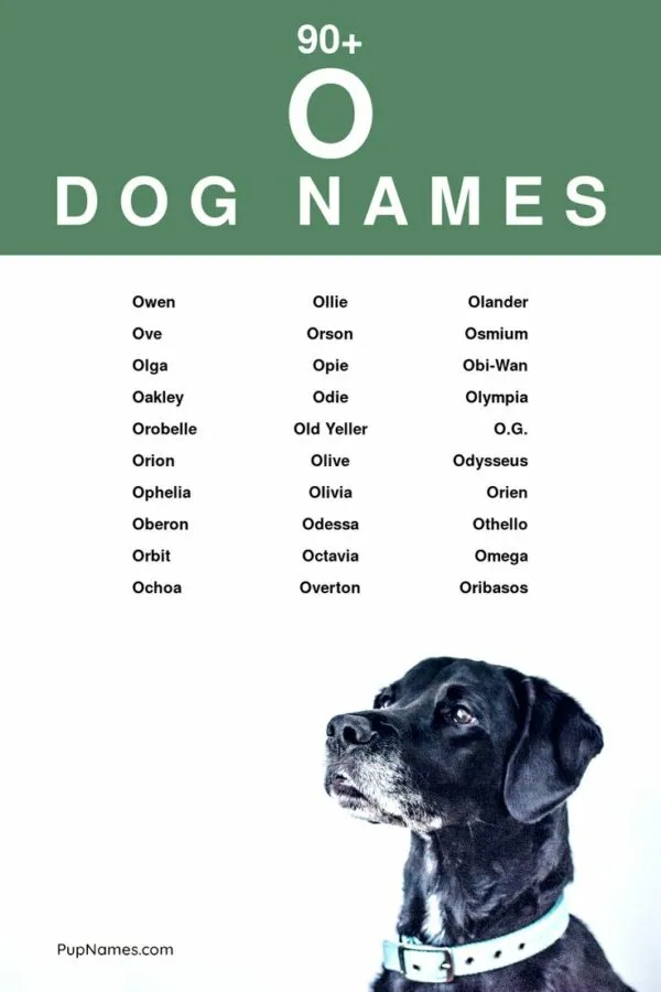 dog names that go with oakley