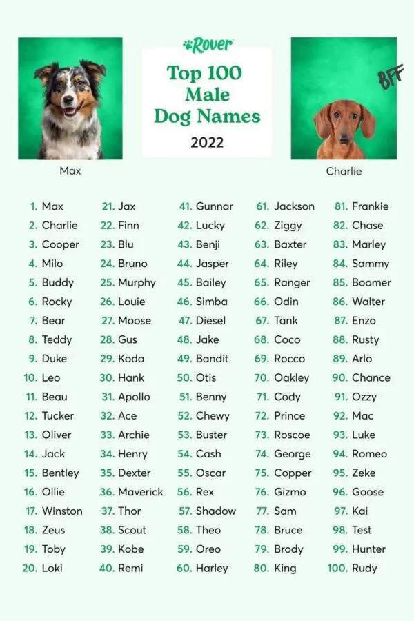 dog names that go with oliver