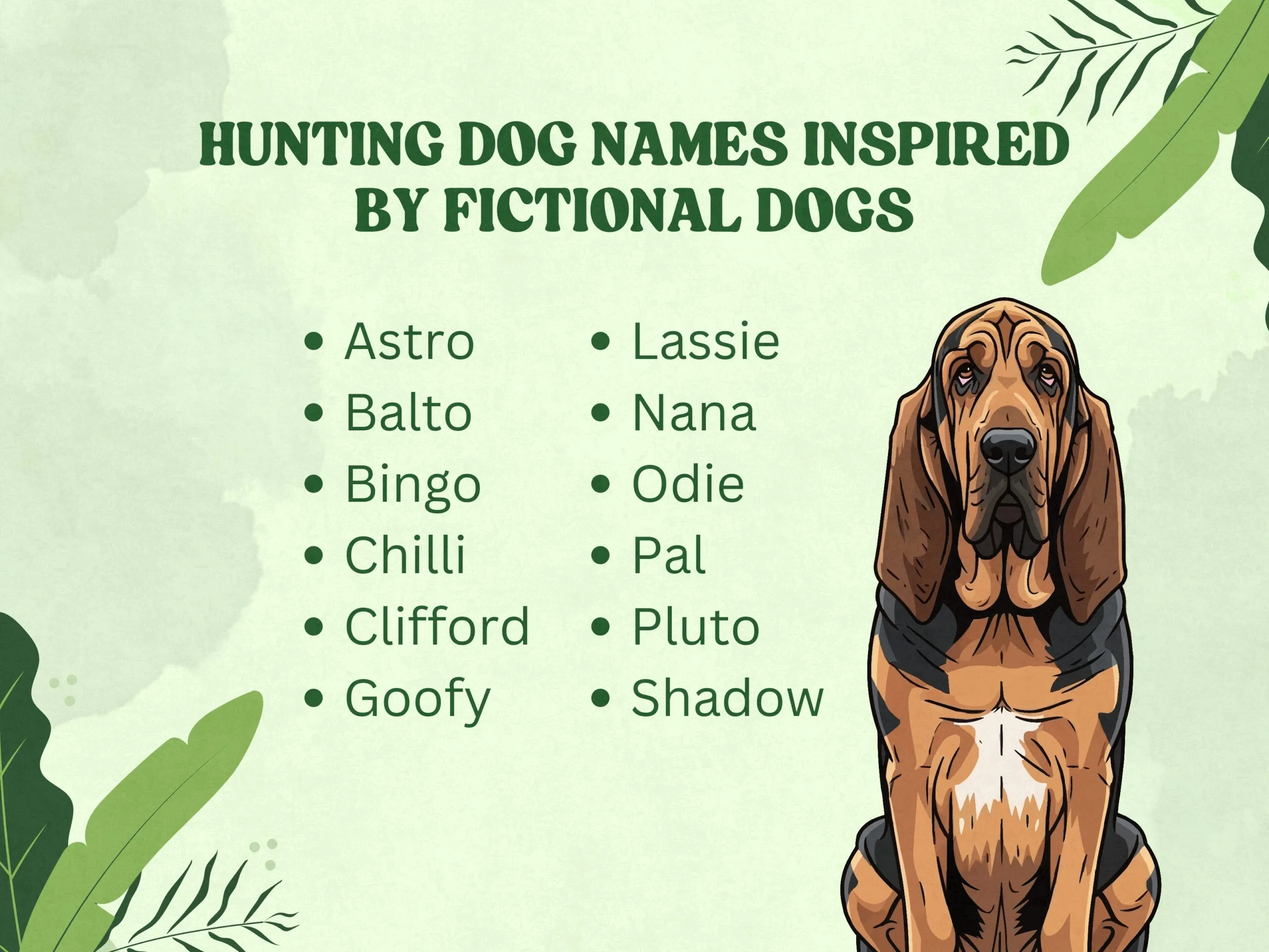 dog names that go with ollie