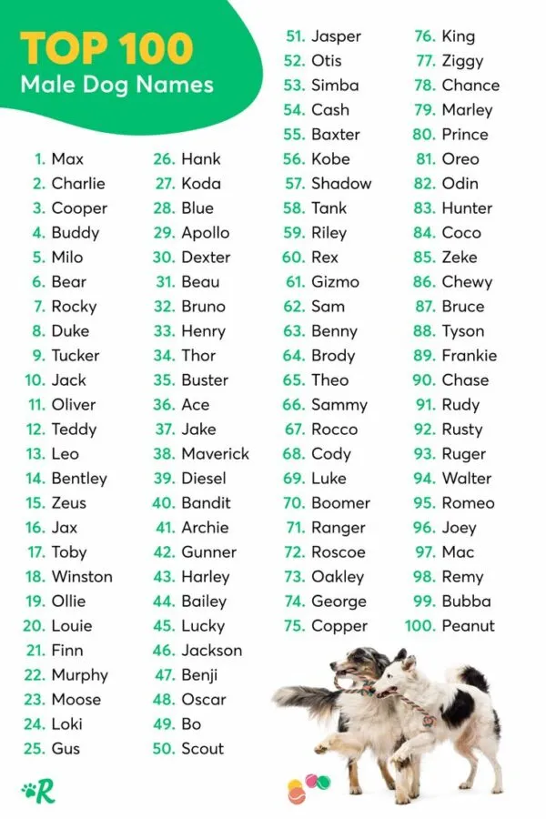 dog names that go with otis