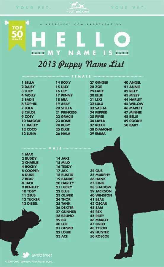 dog names that go with penny