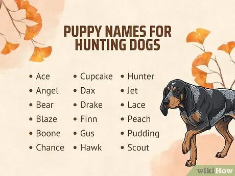 dog names that go with ranger