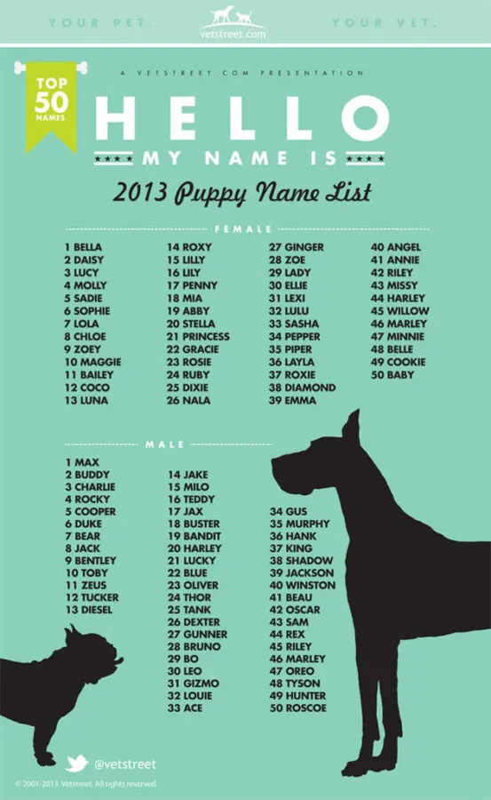 dog names that go with rocky