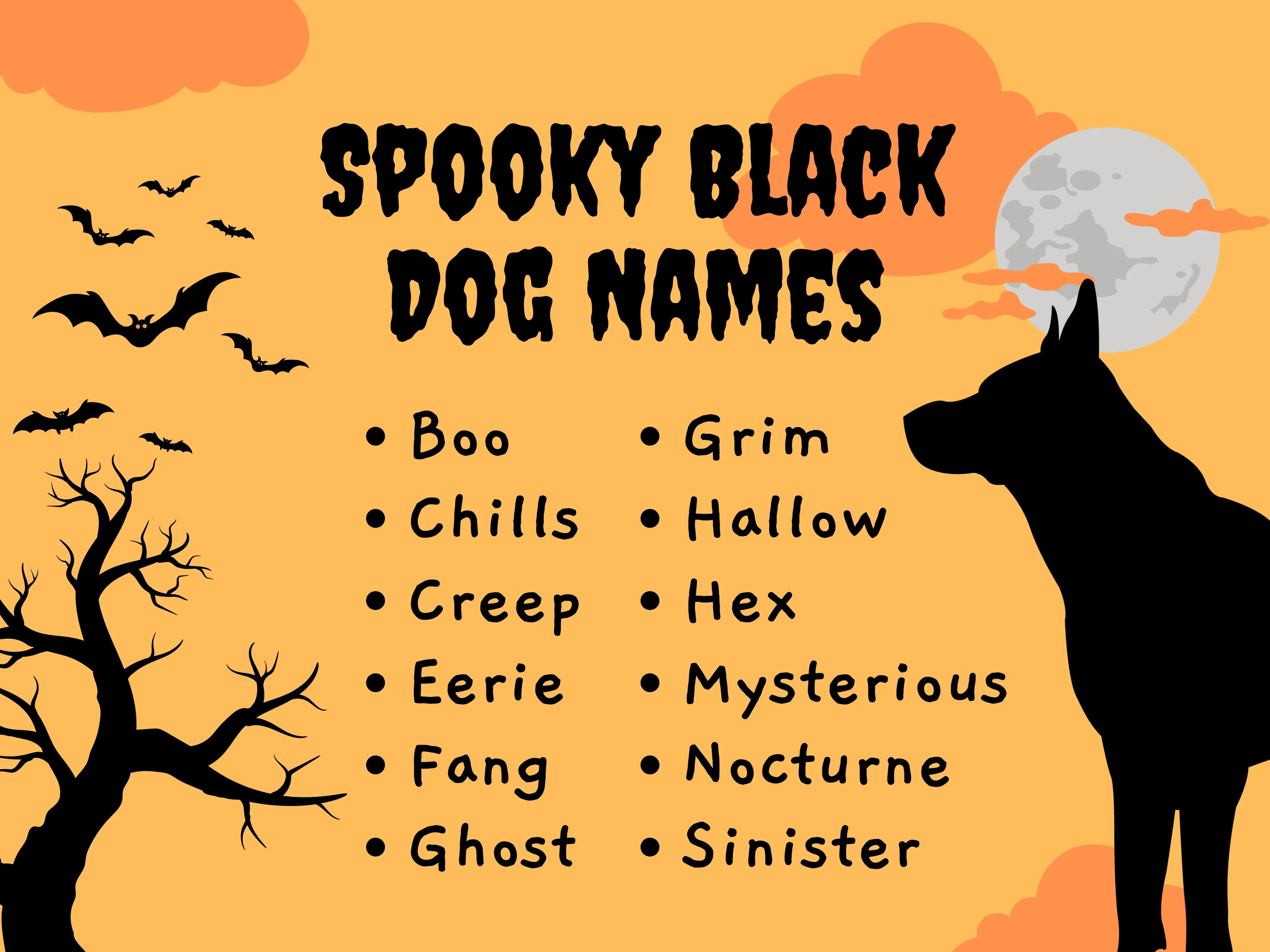 dog names that go with shadow