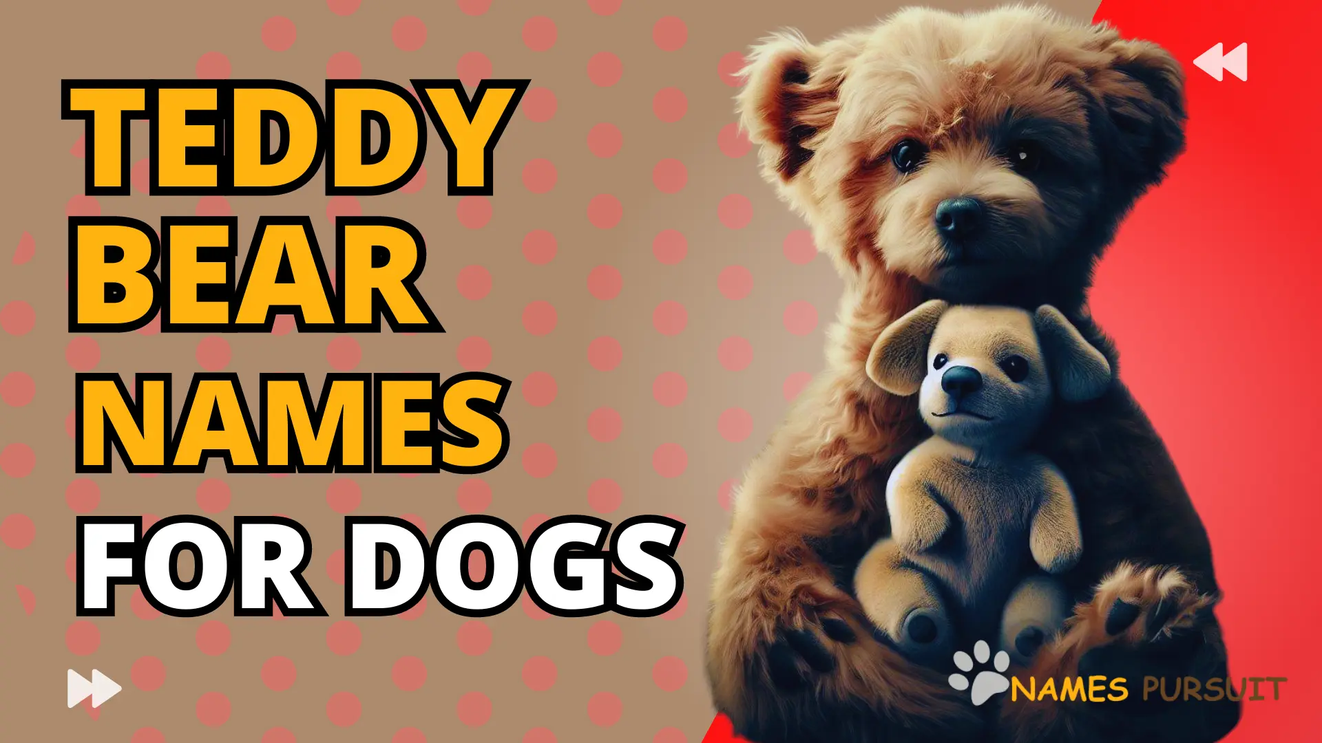 dog names that go with teddy