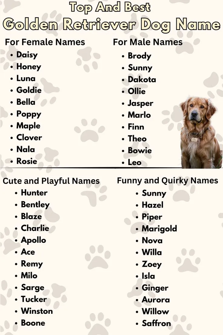 dog names that go with winston