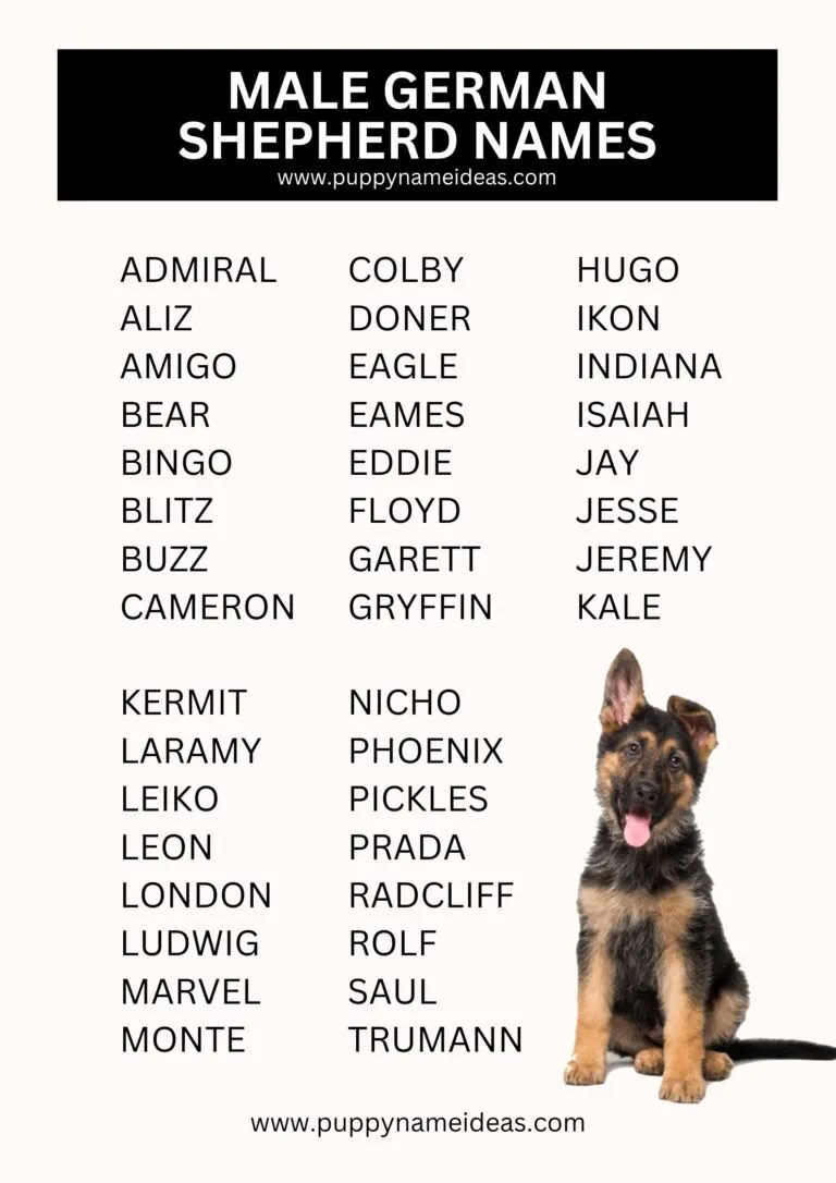 male german shepherd police dog names