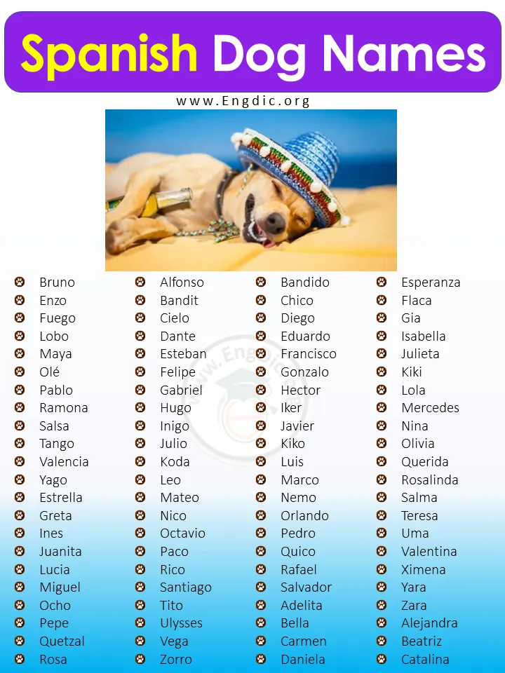 spanish dog names that start with b