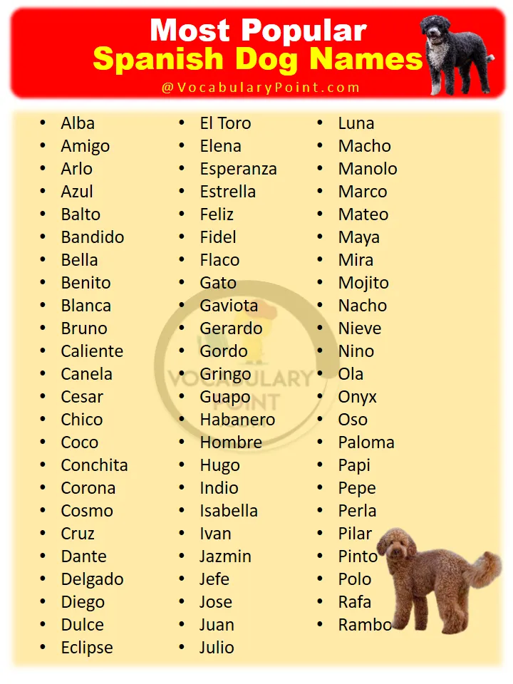 spanish dog names that start with c