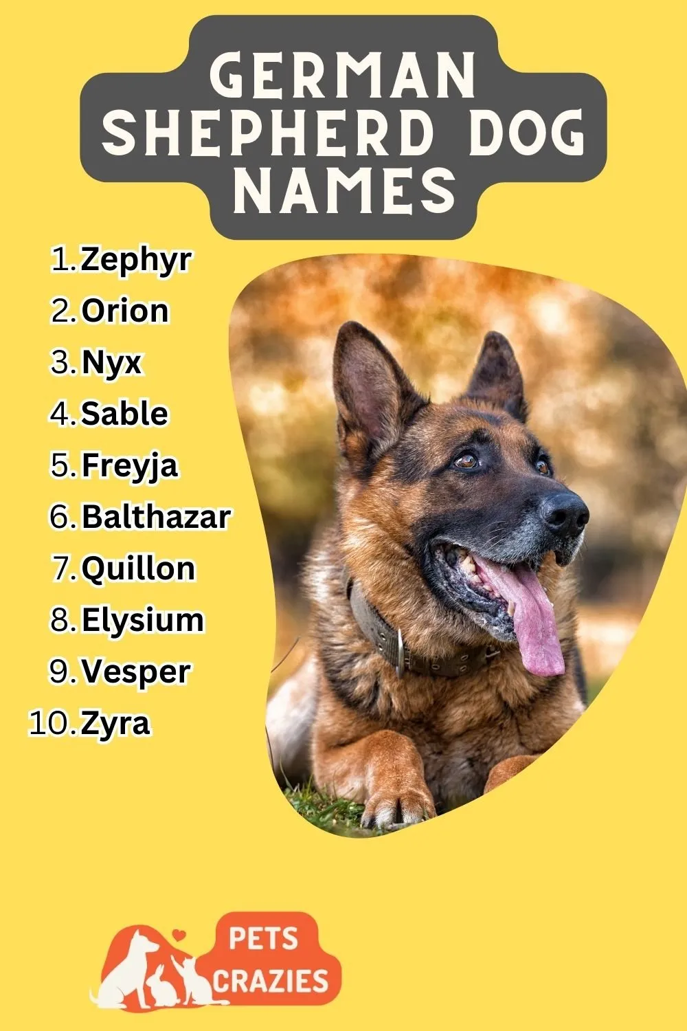 tough dog names for german shepherds