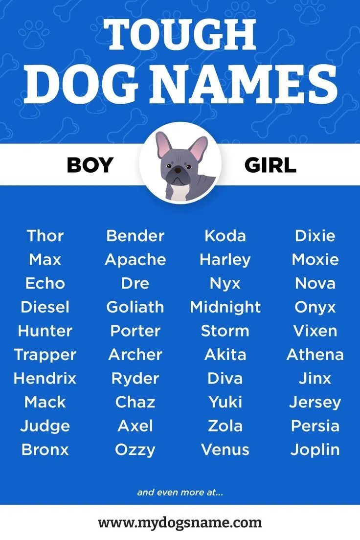 tough dog names for small dogs