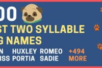 Dog Names with Two Syllables