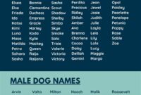 Gentle Giant Dog Names Female