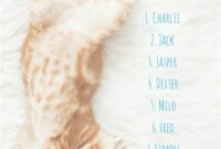 Yellow and White Male Cat Names