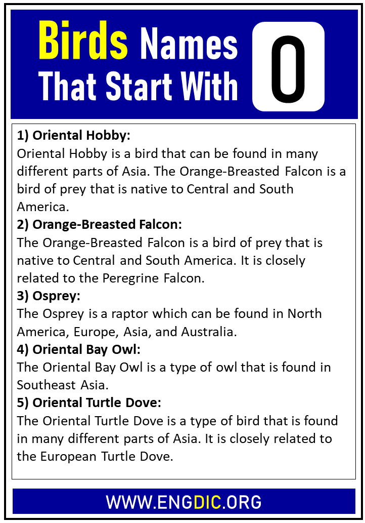 bird-names-starting-with-o