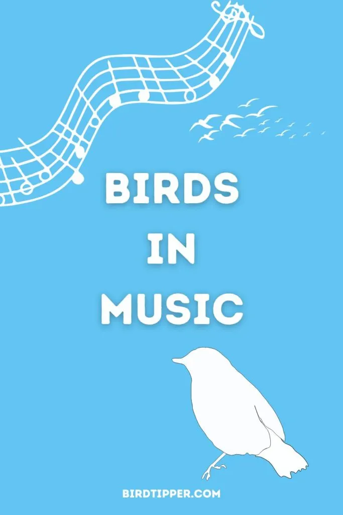 songs-with-bird-names-in-the-title