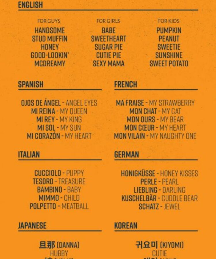 Cute Funny Pet Names for Boyfriend