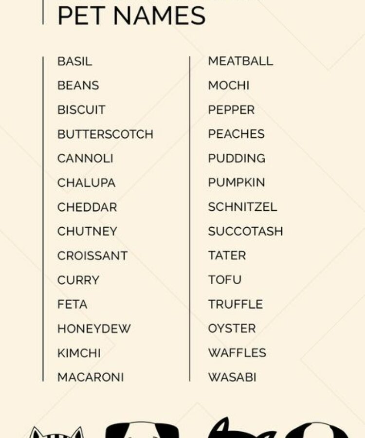 Gay Pet Names for Boyfriend