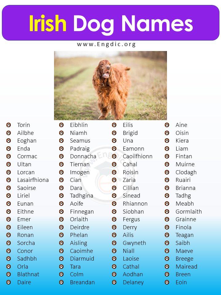 Irish Pet Names For Boyfriend