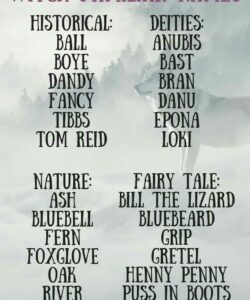 last-names-that-go-with-ash