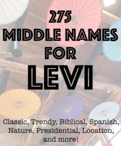 good-middle-name-for-levi