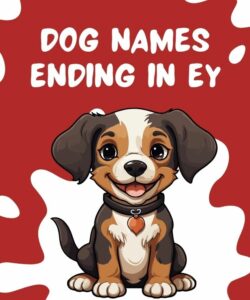 Dog Names Ending In Ey Dog Names Ending In Ey