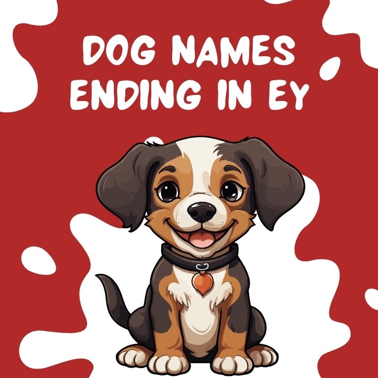 Dog Names Ending In Ey Dog Names Ending In Ey