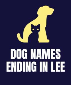 Dog Names Ending In Lee